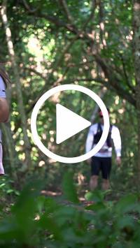 BIB:  <button type="button" onclick="openModal(28078612)" class="btn btn-primary btn-sm float-right" data-toggle="modal" data-target=".modal-high-quality">
                <i class="fa fa-download"></i> Download
                </button>